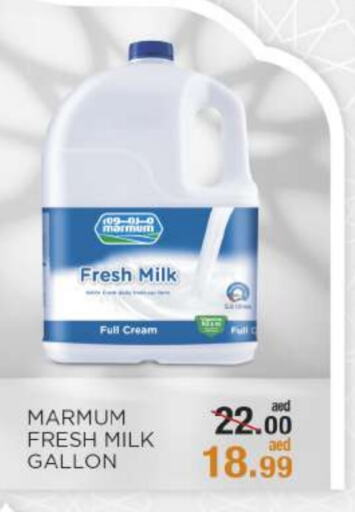 MARMUM Fresh Milk available at OK Hypermarket LLC SPC in UAE - Abu Dhabi