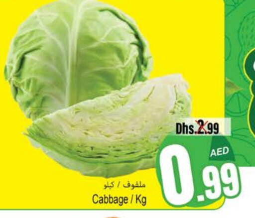 Cabbage available at PASONS GROUP in UAE - Fujairah