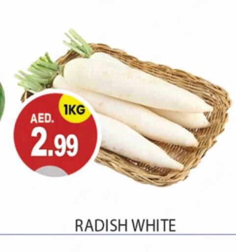 Radish available at سوق طلال in الإمارات العربية المتحدة , الامارات - أبو ظبي