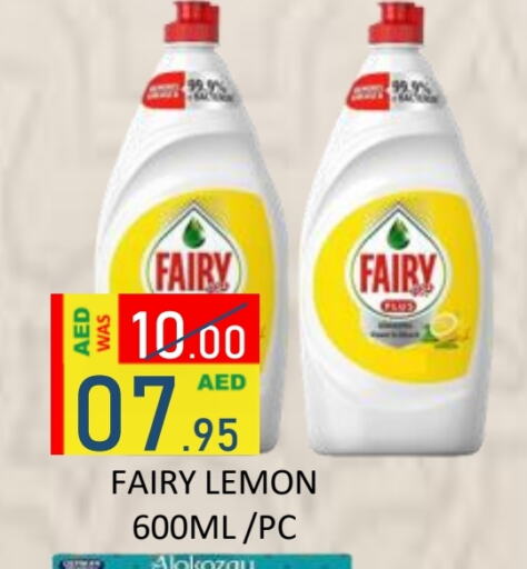 FAIRY Dishwasher available at ROYAL GULF HYPERMARKET LLC in UAE - Abu Dhabi