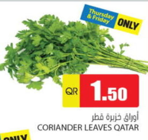 Coriander available at Grand Hypermarket in Qatar - Al Wakra