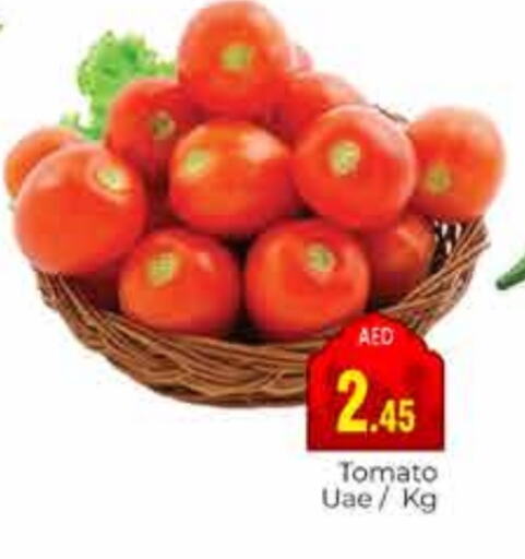 Tomato available at PASONS GROUP in UAE - Dubai