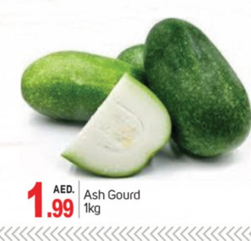 Gourd available at TALAL MARKET in UAE - Dubai