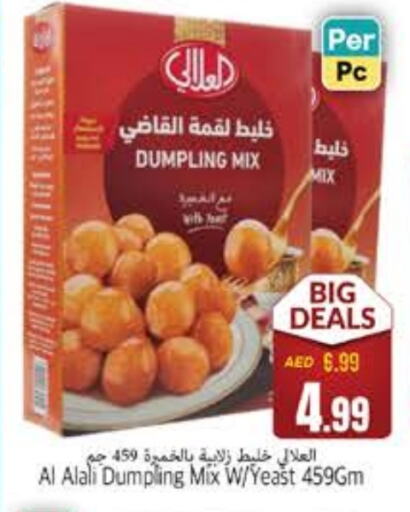 AL ALALI Dumpling mix available at PASONS GROUP in UAE - Fujairah