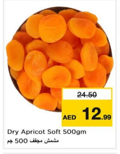 Apricot available at نستو هايبرماركت in الإمارات العربية المتحدة , الامارات - ٱلْفُجَيْرَة‎