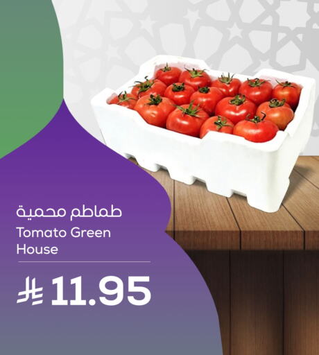 Tomato available at Astra Markets in KSA, Saudi Arabia, Saudi - Tabuk