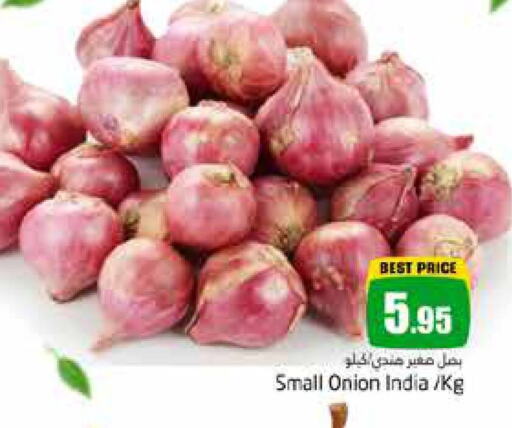 Onion from India available at PASONS GROUP in UAE - Dubai