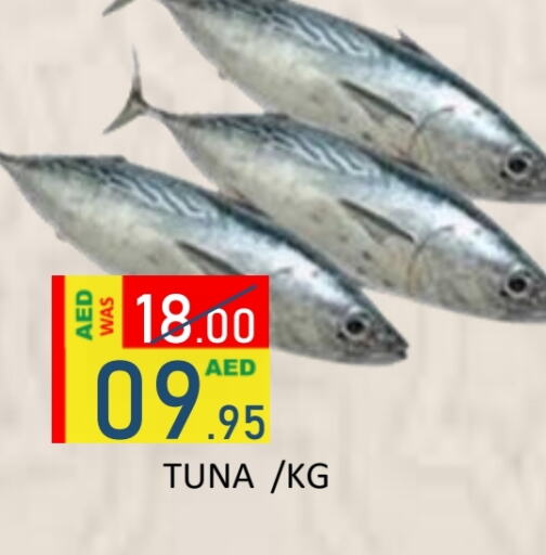 Tuna available at ROYAL GULF HYPERMARKET LLC in UAE - Abu Dhabi