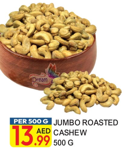 available at دريم لاند in الإمارات العربية المتحدة , الامارات - دبي