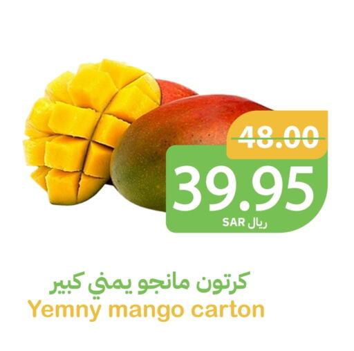 Mango Mango available at Qateba Markets in KSA, Saudi Arabia, Saudi - Buraidah