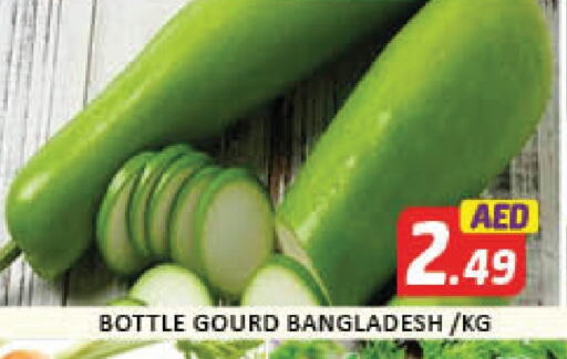 Gourd from Bangladesh available at Al Madina  in UAE - Dubai