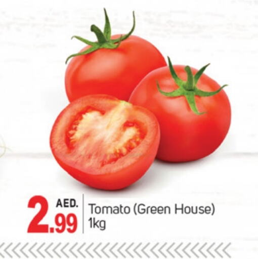 Tomato available at TALAL MARKET in UAE - Dubai