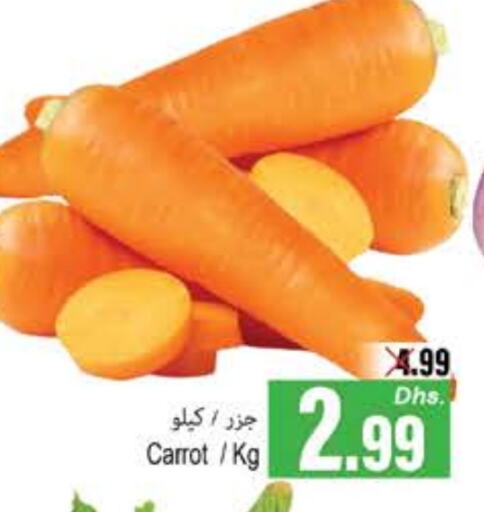 Carrot available at PASONS GROUP in UAE - Fujairah