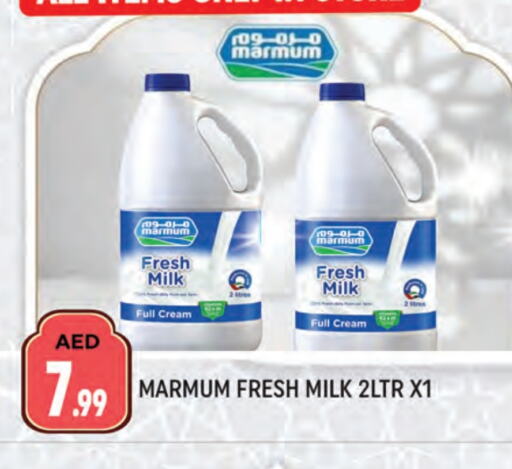 MARMUM Fresh Milk available at AL MADINA (Dubai) in UAE - Dubai