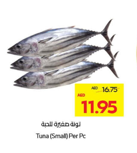 Tuna available at ADCOOP in UAE - Abu Dhabi