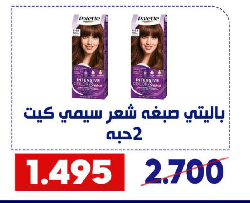 PALETTE Hair Colour available at Qadisiyah Cooperative Society in Kuwait - Kuwait City