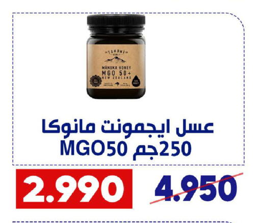 عسل available at جمعية القادسية التعاونية in الكويت - مدينة الكويت