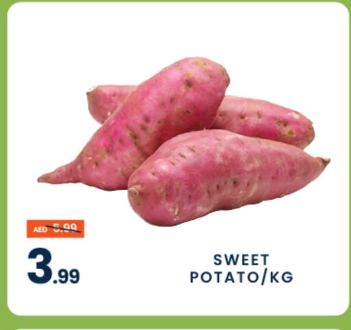 Sweet Potato available at MADHOOR SUPERMARKET L.L.C in UAE - Dubai