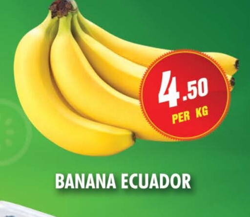 Banana from Ecuador available at NIGHT TO NIGHT DEPARTMENT STORE in UAE - Sharjah / Ajman