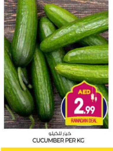 Cucumber available at BIGmart in UAE - Abu Dhabi