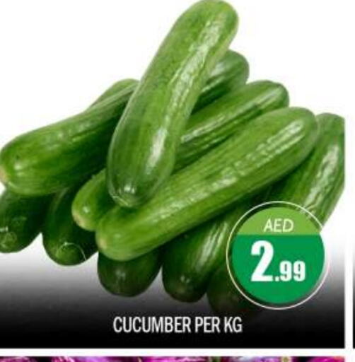 Cucumber available at BIGmart in UAE - Abu Dhabi