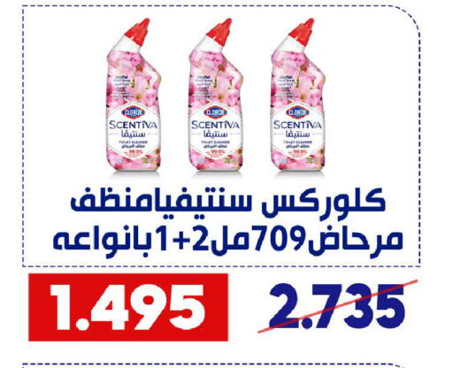 CLOROX Toilet / Drain Cleaner available at Qadisiyah Cooperative Society in Kuwait - Kuwait City