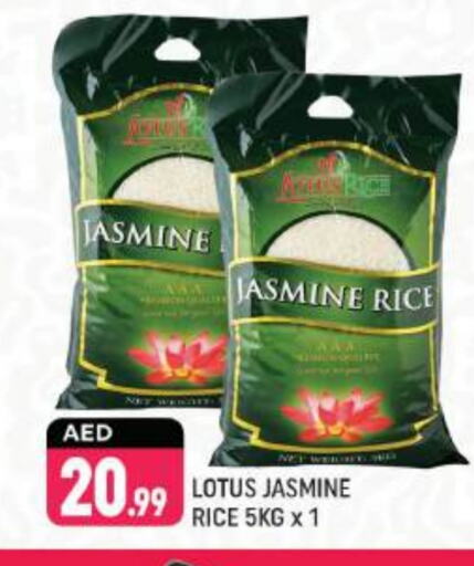 Jasmine Rice available at Shaklan  in UAE - Dubai