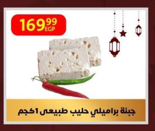 available at داون تاون العرب  in Egypt - القاهرة