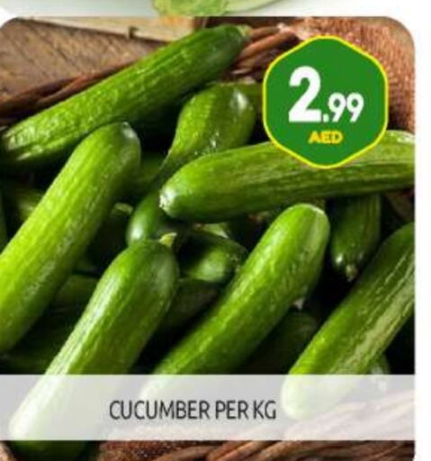 Cucumber available at BIGmart in UAE - Abu Dhabi