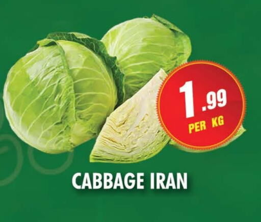 Cabbage from Iran available at NIGHT TO NIGHT DEPARTMENT STORE in UAE - Sharjah / Ajman