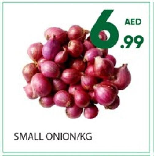 Onion available at Al Madina  in UAE - Dubai