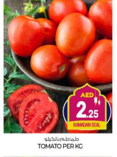 Tomato available at BIGmart in UAE - Abu Dhabi