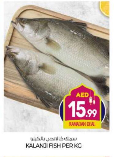 available at BIGmart in UAE - Abu Dhabi