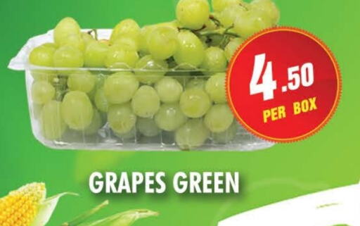 Grapes available at NIGHT TO NIGHT DEPARTMENT STORE in UAE - Sharjah / Ajman