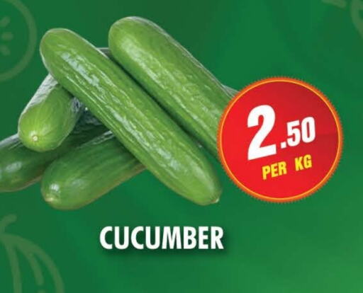 Cucumber available at NIGHT TO NIGHT DEPARTMENT STORE in UAE - Sharjah / Ajman