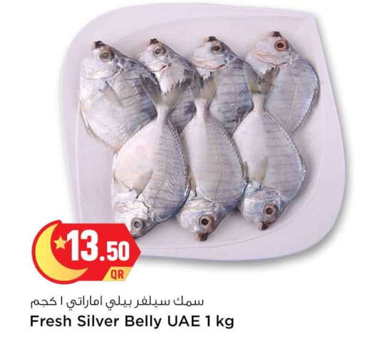 available at سفاري هايبر ماركت in قطر - الريان