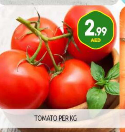 Tomato available at BIGmart in UAE - Abu Dhabi