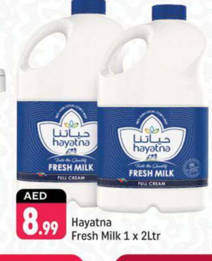 HAYATNA Fresh Milk available at Shaklan  in UAE - Dubai