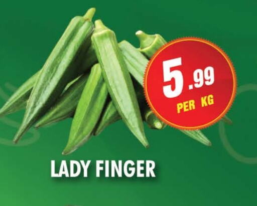 Lady's finger available at NIGHT TO NIGHT DEPARTMENT STORE in UAE - Sharjah / Ajman