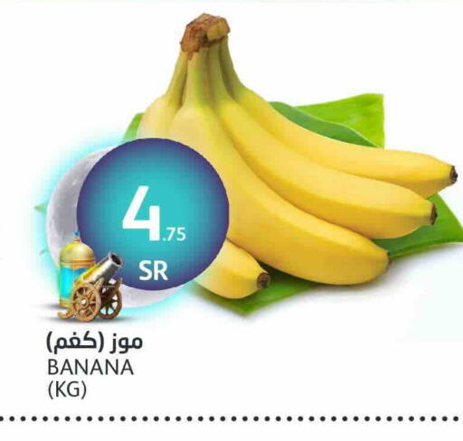 Banana available at AlJazera Shopping Center in KSA, Saudi Arabia, Saudi - Riyadh