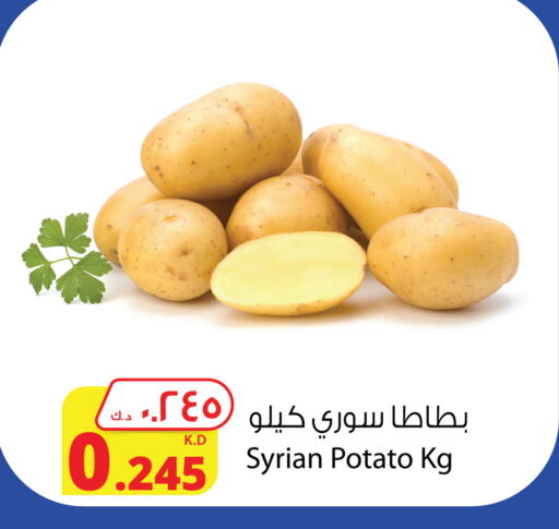 بطاطا from Syria available at شركة المنتجات الزراعية الغذائية in الكويت - مدينة الكويت