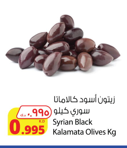 available at Agricultural Food Products Co. in Kuwait - Kuwait City