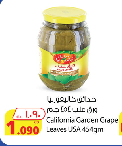 CALIFORNIA GARDEN available at Agricultural Food Products Co. in Kuwait - Kuwait City