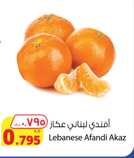 برتقال from Lebanon available at شركة المنتجات الزراعية الغذائية in الكويت - محافظة الجهراء