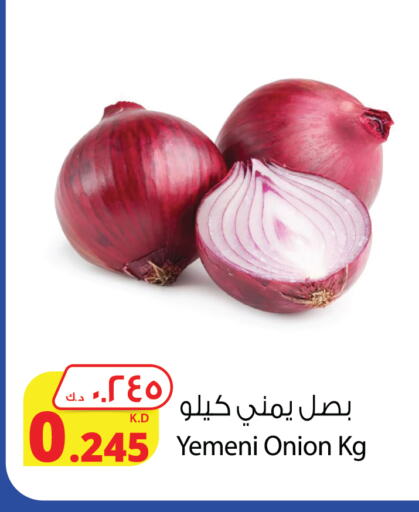 بصل from Yemen available at شركة المنتجات الزراعية الغذائية in الكويت - مدينة الكويت