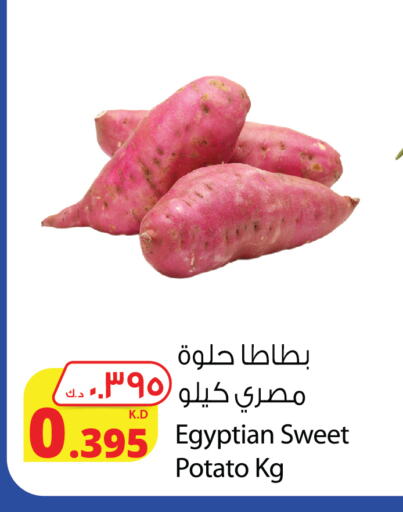 بطاطا حلوة from Egypt available at شركة المنتجات الزراعية الغذائية in الكويت - مدينة الكويت