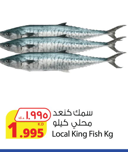 سمك ملكي available at شركة المنتجات الزراعية الغذائية in الكويت - مدينة الكويت