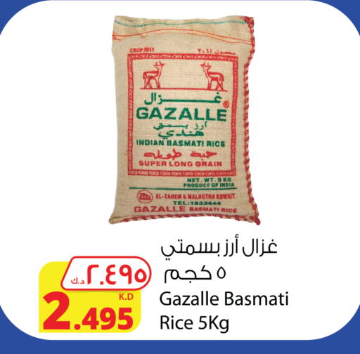 Basmati / Biryani Rice available at Agricultural Food Products Co. in Kuwait - Ahmadi Governorate