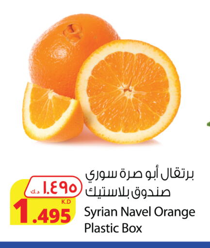 برتقال from Syria available at شركة المنتجات الزراعية الغذائية in الكويت - محافظة الجهراء