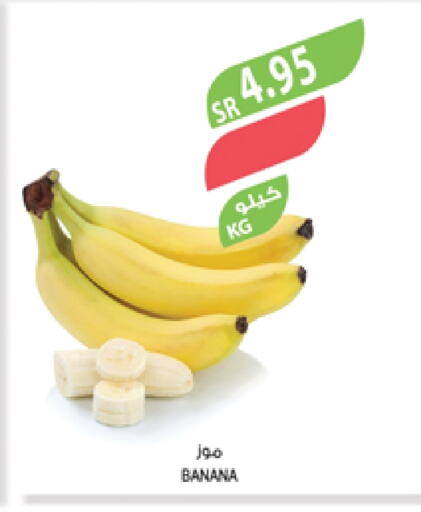 Banana available at Farm  in KSA, Saudi Arabia, Saudi - Riyadh